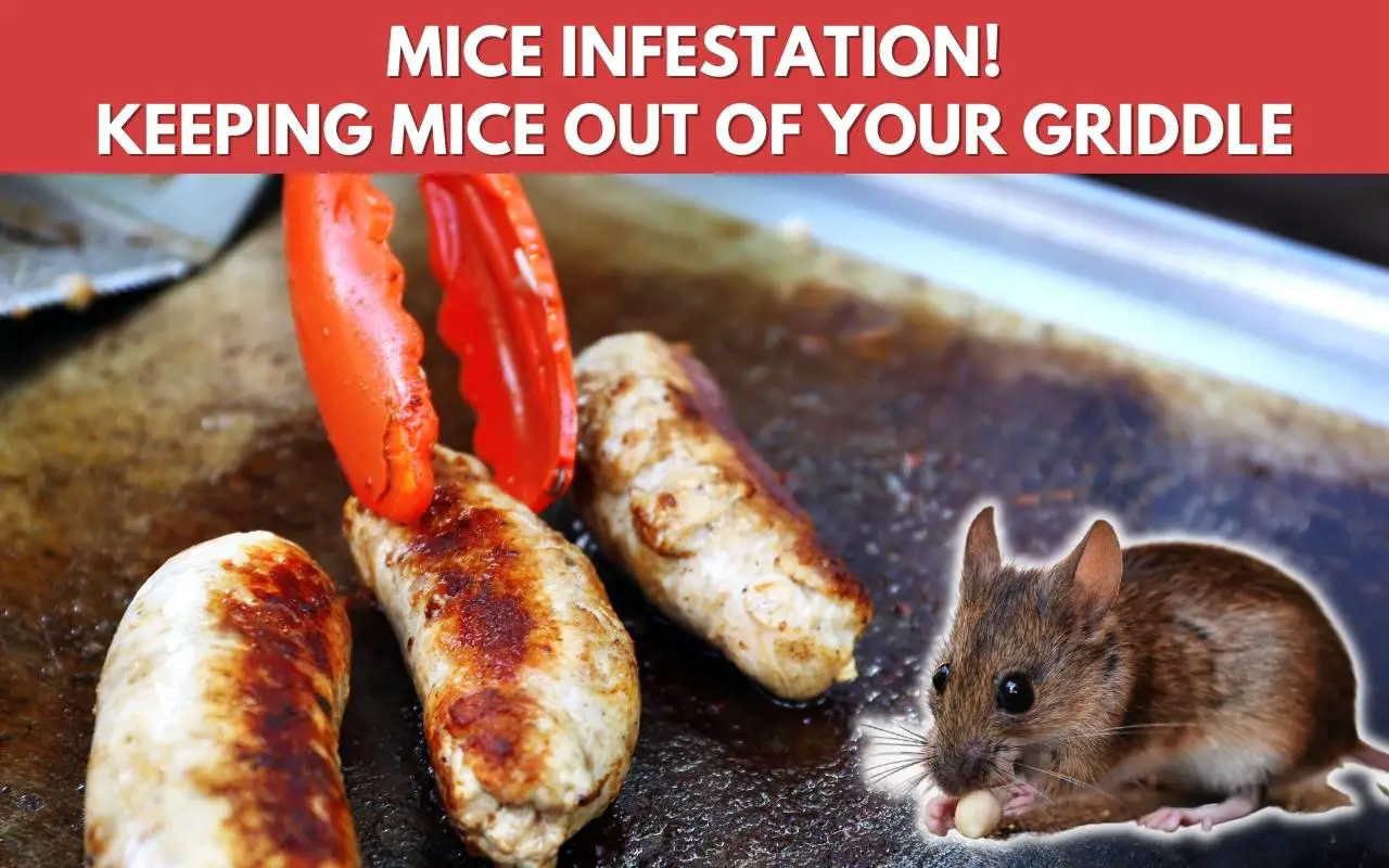 Keep mice out of your griddle