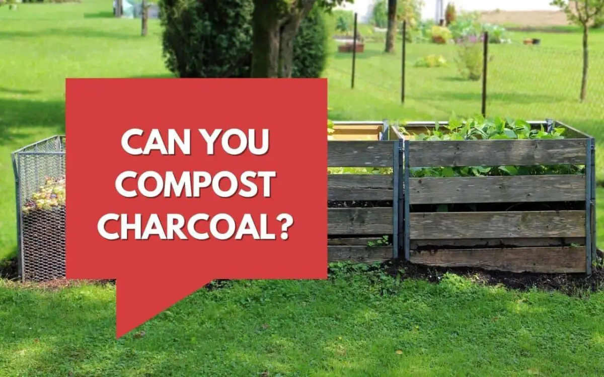 Can Charcoal Go in a Compost Bin?