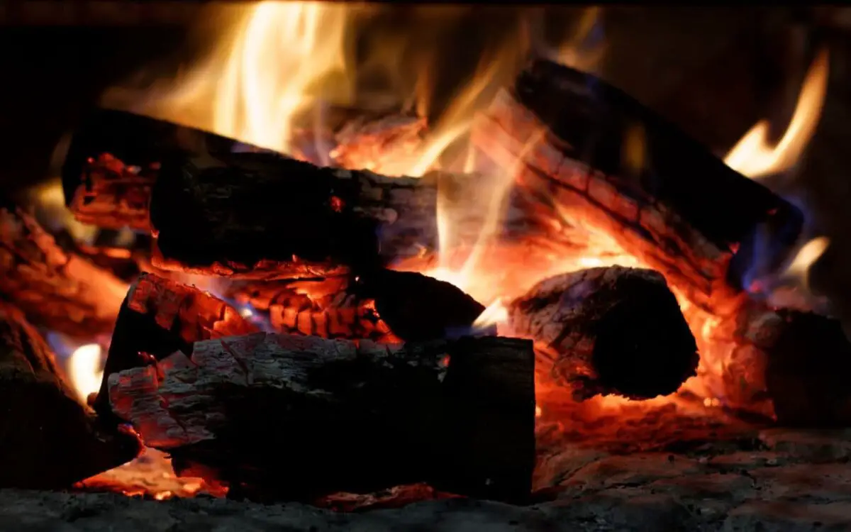 Can You Grill With Wood Instead of Charcoal? Explained!