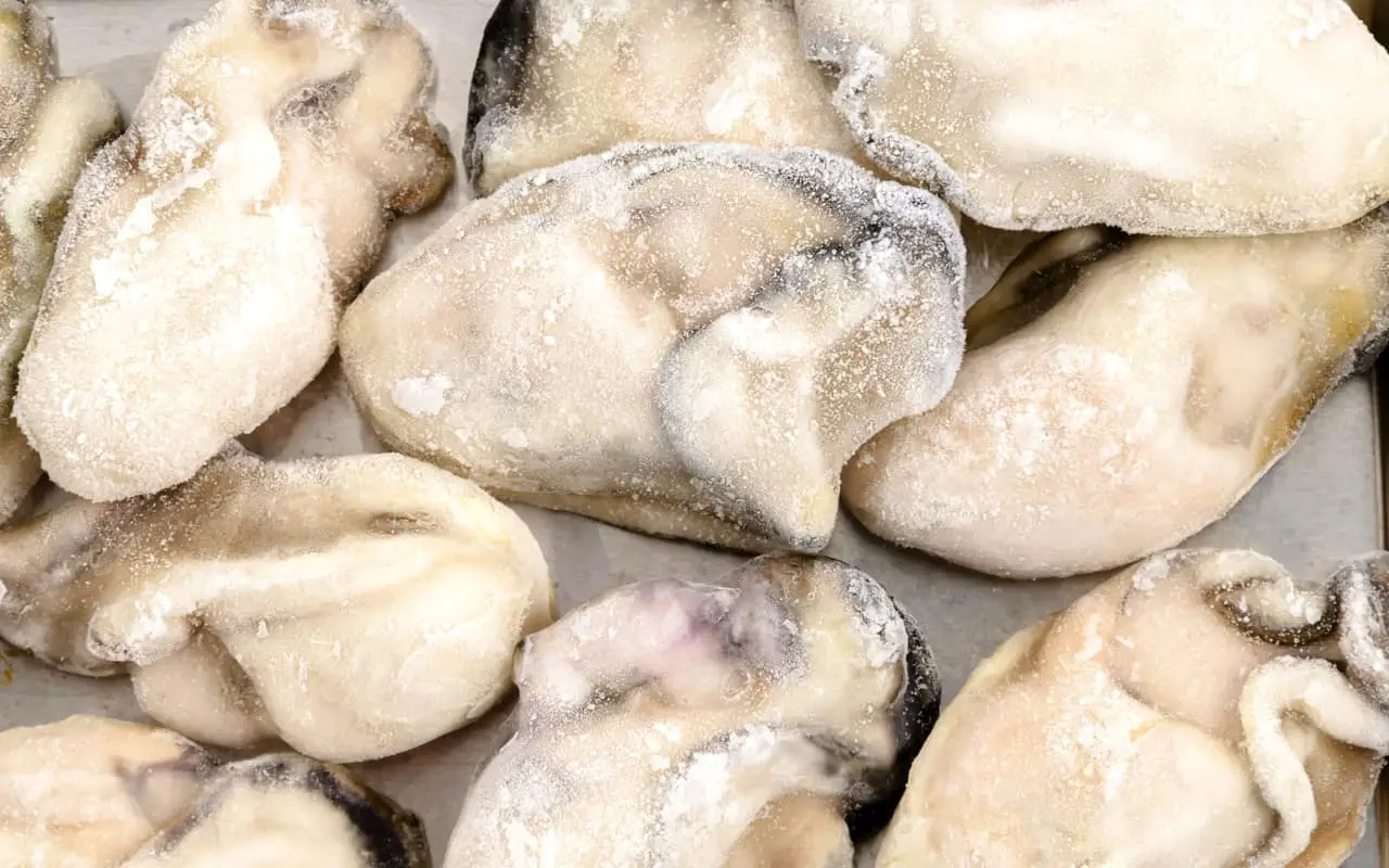 Can you grill frozen oysters? - featured image