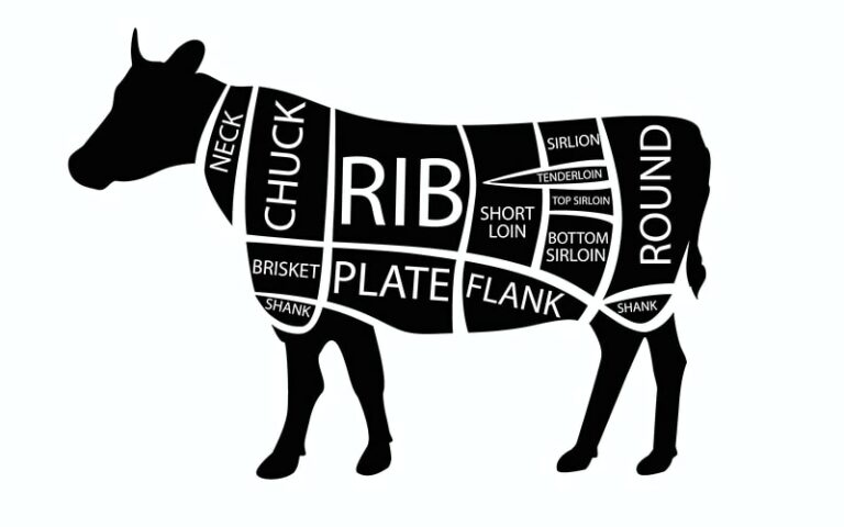 Ultimate Guide: What Part Of The Cow Is Brisket?